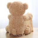MOMMY & ME Peekaboo Bear for Kids is a singing, talking musical teddy bear with a cover for hiding | MM-39625 |