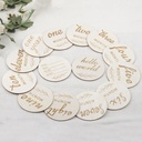 AMOR TINY Baby Monthly Milestone Photo Props – 12 Painted Wooden Circle Discs for Newborn Growth Tracking