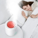 🚨 DISPLAY PIECE 🚨 Deerma Household ultrasonic air humidifier Mute Humidifier Aroma diffuser essential oil mist maker | DEM - F301 | 🚨 Without box 🚨