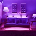 Yeelight Lightstrip Plus WIFI Connected RGB Intelligent Strip Light ONLY for the Use of extending YLDD04YL Version 10 Meters