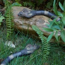 A&T TOY Realistic Remote Control Cobra Snake Toy – Rechargeable RC Snake with Smart Sensing & Infrared Controller, 16-Inch Prank & Cat Toy, Gift for Kids Ages 6+