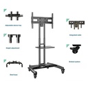 Height Adjustable Professional TV Trolley Stand for 32"–75" Screens, Premium Mobile Cart with Shelf & Lockable Wheels | AVA-1500-60-1P |