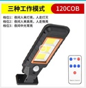 Solar Induction Street Lamp Remote Control