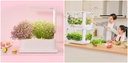 Xiaomi Tiny Green intelligent ecological planting machine