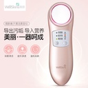 Wellskins Ion Cleaning Beauty Instrument - WX-NF209