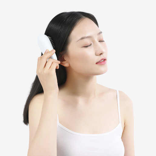 Wellskins Anion Hairdressing Comb Portable Hair Care WX-FZ200