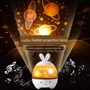 Lucky Rabbit Projection Lamp DH68