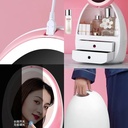 Led Light Makeup Organizer HD Mirror Cosmetics Box