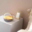 Xiaomi EZVALO LYDIA Wireless Charger Music Lamp LYYD01 Speaker LED Night Light Phone Charger