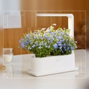 Xiaomi Tiny Green intelligent ecological planting machine