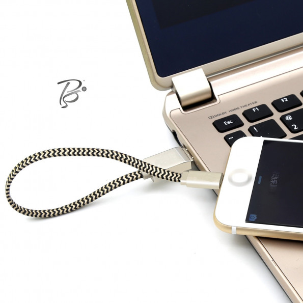 iDragon Memory Card Reader 2 in 1 Apple lightning cable Adapter and Data Sinc USB Charging Cable with external storage Micro SD Connector For iPhone 6/6 Plus/5/5s iPad iPod(Memory Card not included)