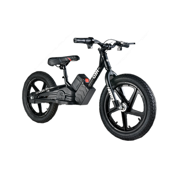 E-Board "16 Inch Electric Balance Bike For | 5 - 11 | Years Old Kid's & 200W Motor Power