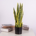Hand-Made Ornament Small Artificial decoration Plant For Home & Office Decoration Snake Plant | C006 |