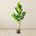 Artificial Oak Plant Tree For Home Decoration For Indoors & Outdoors Use