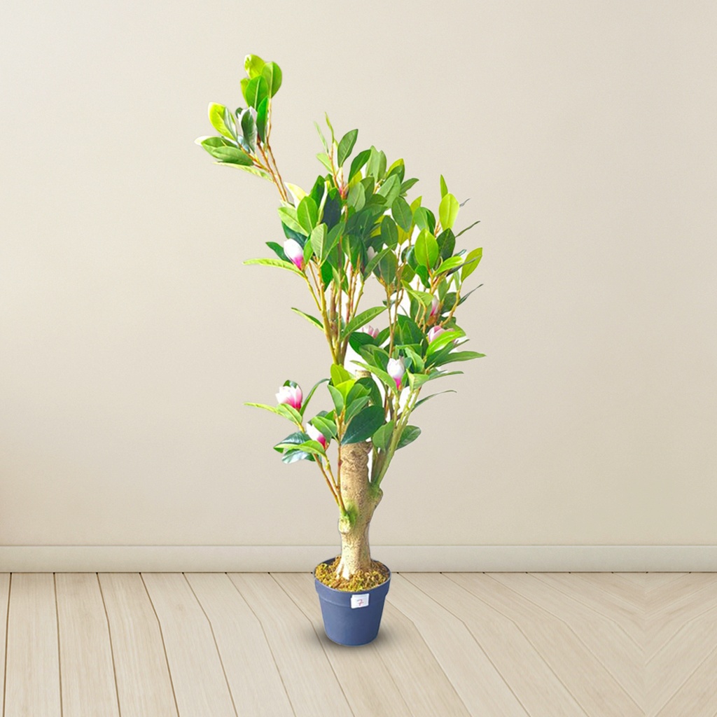 Artificial | Magnolia |  Plant Tree For Home Decoration For Indoors & Outdoors Use