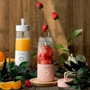 Vitamer Portable Mini Electric Juice Blender Bottle Rechargeable Fruit Squeezer