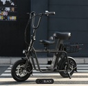 Fiido Electric Scooter Bike With Extra Child Seat