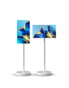 TakTik Portable 21.5 Inch Floor Standing Smart Screen, LCD Display, Touch Screen, Indoor TV, Android 12 With Remote Control | P215ZJ-WH /P215ZJ-MA|