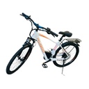 Kugoo Lightweight Durable 26 Inch Wheels M1012025 Electric Bicycle |M101|