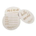 AMOR TINY Baby Monthly Milestone Photo Props – 12 Painted Wooden Circle Discs for Newborn Growth Tracking