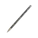 Promate Transparent Precision Active Stylus – Palm Rejection, Capacitive Rechargeable Design, iPad Compatible | TransPen |