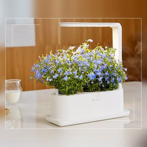 [1682] Xiaomi Tiny Green intelligent ecological planting machine