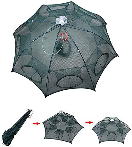 [7632] Portable Royal Polar Collapsible Fishing Net for Shrimp Fishing & Sea Feeder With | 8 | Holes