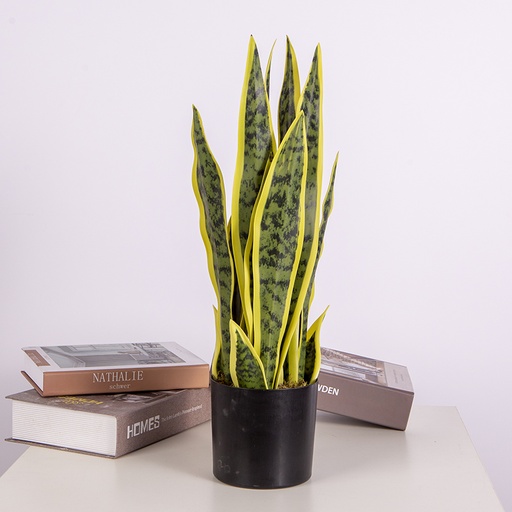 [8048] Hand-Made Ornament Small Artificial decoration Plant For Home & Office Decoration Snake Plant | C006 |