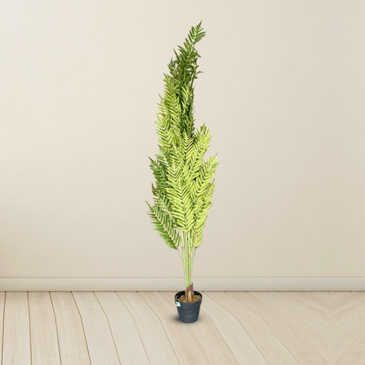 Artificial | Fern Palm | Plant Tree For Home Decoration For Indoors & Outdoors Use (170 CM Little Big Pot) / (180 CM Small Pot)