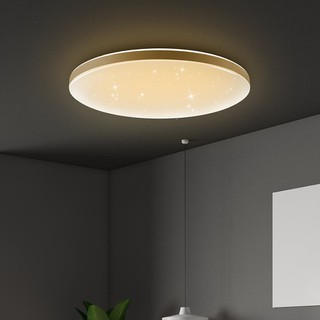 [8248] Xiaomi Philips Zhirui LED Ceiling Light Star Version Lamp 40W