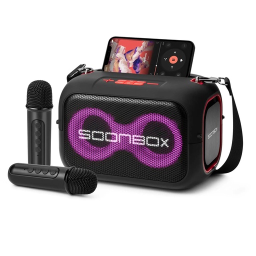 SoonBox Wireless Party Box | S300 |