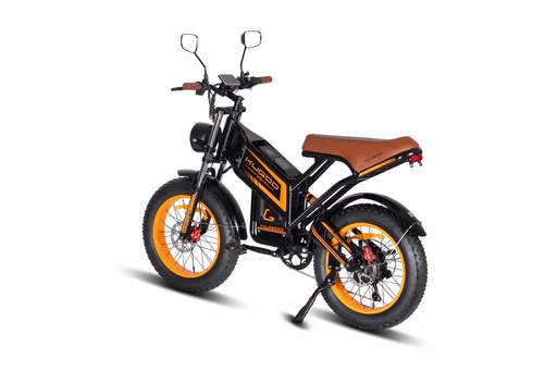 [11147] Kugoo V5 Electric Bike With 50km/h Speed & 55km Range & 750W Power