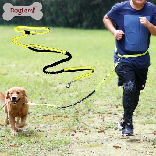 [5664] Pet Belt Running Hand Holding Rope Multi-functional Nylon Reflective Running Dog Leash Dog Sports Hand Holding Rope Sub-